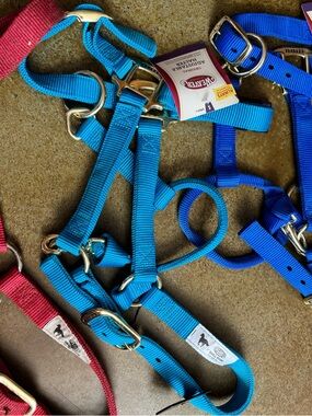 Weaver Leather 1” Small Horse Adjustable Halter Nylon - Bright Teal NEW